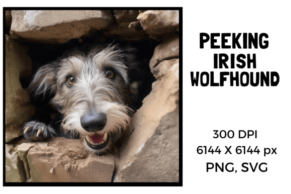 Peeking Irish Wolfhound